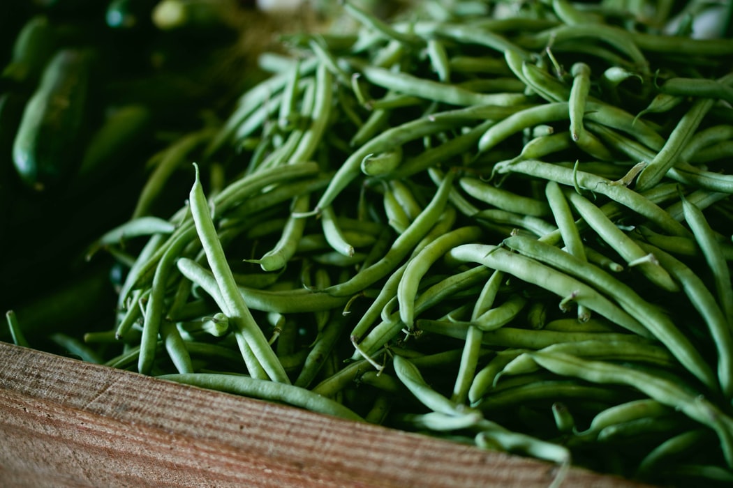 Organic string beans, String beans, Mini Farm, Garden, Raised Bed Garden, Food Garden, Farm, Home Farm, Herbs, Vegetables