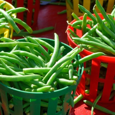 Box garden, Box Farm, Mini Farm, Garden, Raised Bed Garden, Food Garden, Farm, Home Farm, Herbs, Vegetables, Organic farm, Organic Mini Farm, Organic Herbs, Organic Vegetables, Veggies, Home Grown Produce, String beans, beans, Home grown beans, Healthy beans